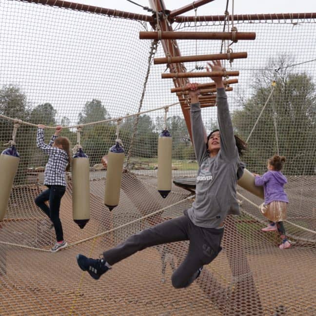 A child joyfully swings on a rope in an outdoor adventure park with other visitors navigating hanging obstacles in the background.